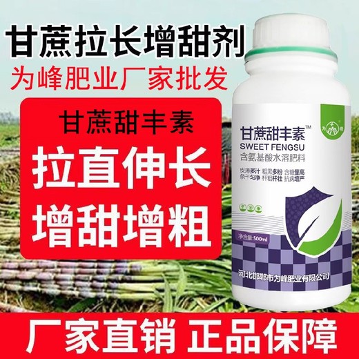 甘蔗拉直增粗拔節(jié)拉長甘蔗甜豐素怎么使用,廠家批發(fā)招商