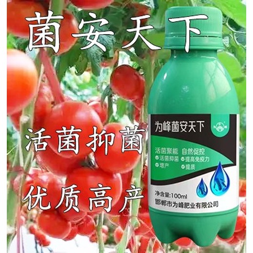 抗病生物菌劑?正規(guī)菌安天下的作用