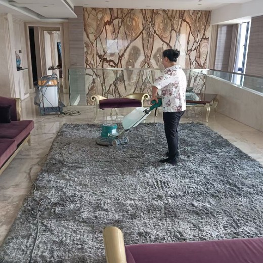 南山粵海公司地毯清洗