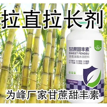 甘蔗拉直增粗拔節(jié)拉長(zhǎng)甘蔗甜豐素的作用,廠家批發(fā)招商