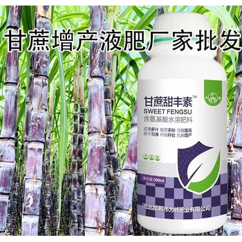 甘蔗粗直長甘蔗甜豐素保質(zhì)期多久,廠家批發(fā)招商