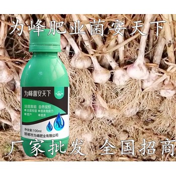 菌安天下效果?生根壯苗菌安天下廠家定做