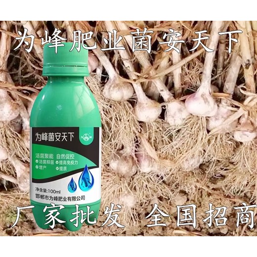 菌安天下效果?生根壯苗菌安天下廠家定做