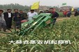 大蒜收獲機批發小型大蒜收獲機錢臺