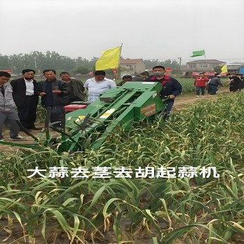 大蒜收獲機(jī)價(jià)格大蒜收獲鋪到機(jī)視頻