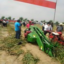 大蒜自動收獲機前置大蒜收獲機視頻