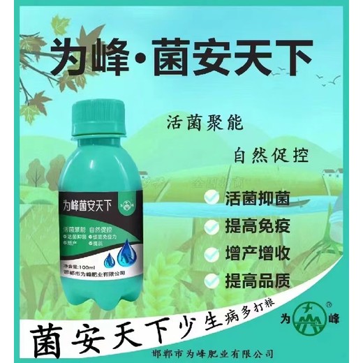 菌安天下效果?增產(chǎn)菌安天下適用作物