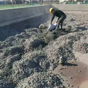 丹東節能干拌復合輕集料混凝土新型建筑材料