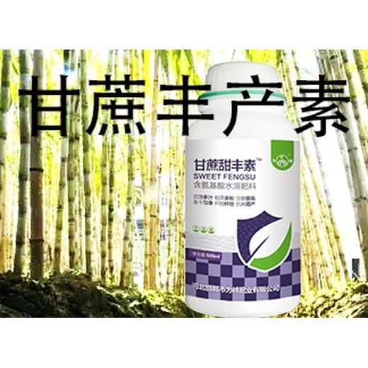 甘蔗粗又甜拉直拉長甘蔗甜豐素公司,廠家批發(fā)招商