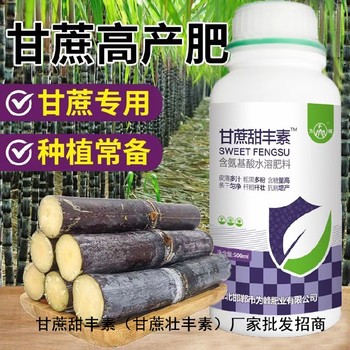 甘蔗粗又甜抗病增產甘蔗甜豐素抗寒效果,廠家批發(fā)招商