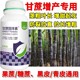 甘蔗甜豐素生產(chǎn)廠家圖