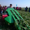大蒜收割機(jī)械新型前置大蒜收獲機(jī)