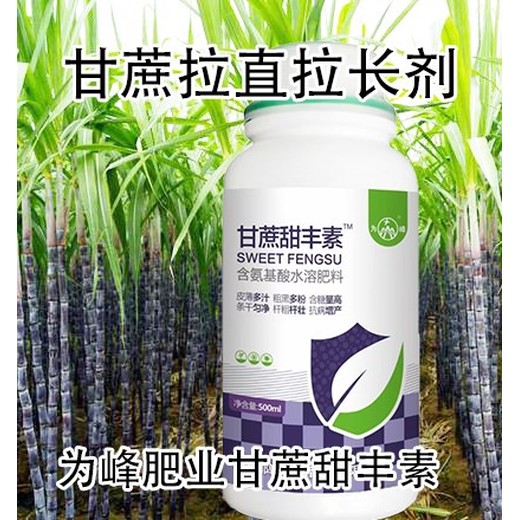 甘蔗葉面肥拔節(jié)拉長甘蔗甜豐素怎么使用,廠家批發(fā)招商