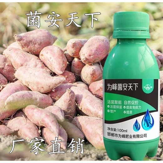 為峰肥業(yè)聚能生物菌群菌安天下抗寒效果