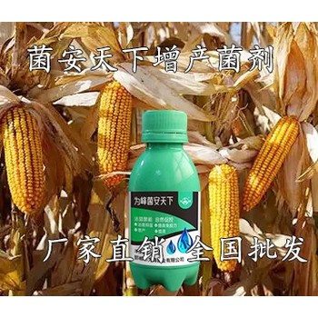 微生物菌肥生根壯苗菌安天下廠家定做