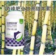 甘蔗甜豐素貼牌加工圖