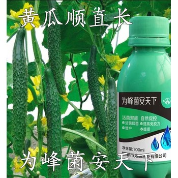 活菌制劑抗病增產(chǎn)菌安天下菌劑定做