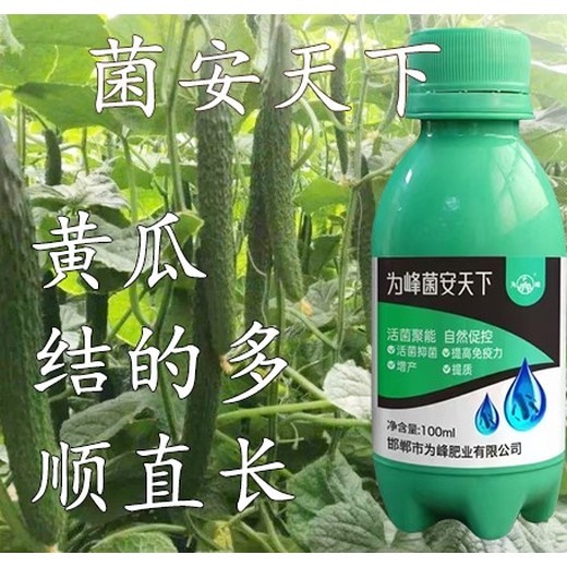 菌安天下效果?增產(chǎn)菌安天下兌水比例