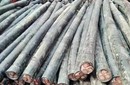 漢川市各種型號電纜線回收（回收流程）圖片