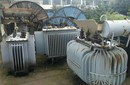 湖北沙湖鎮(zhèn)變壓器回收電話(huà),二手變壓器回收價(jià)格圖片
