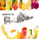 南通臍橙榨汁加工生產(chǎn)線廠家