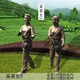 仿銅采茶制茶過程雕塑圖