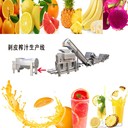 蘭州沃柑剝皮榨汁機(jī)廠家直銷