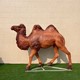 絲綢之路圖