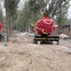 仿真玻璃鋼石榴雕塑圖