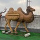 駱駝銅雕像圖