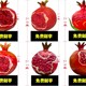 玻璃鋼石榴雕塑圖