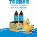 閔行廠家批發(fā)丁酸菌原液