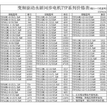 汕尾運行穩(wěn)定TYP永磁電機供應(yīng)商