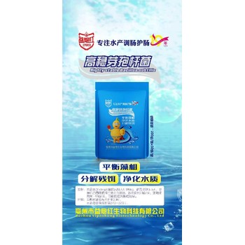 三亞凈化水質(zhì)益炮紅高穩(wěn)芽孢桿菌