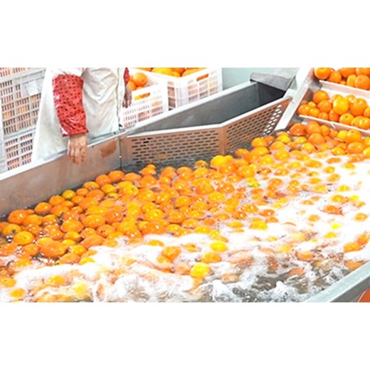 廣州榨汁加工生產(chǎn)線(xiàn)報(bào)價(jià)