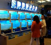 宜興魚缸定做酒店海鮮魚缸大閘蟹魚缸安裝