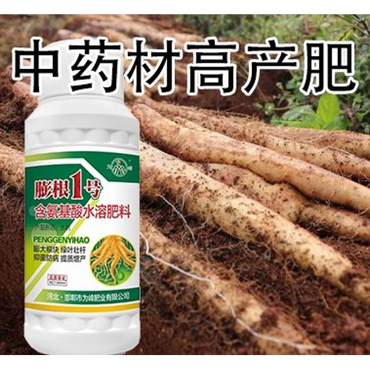 人參膨大增粗膨大增粗劑聯(lián)系方式,為峰肥業(yè)膨根一號廠家批發(fā)