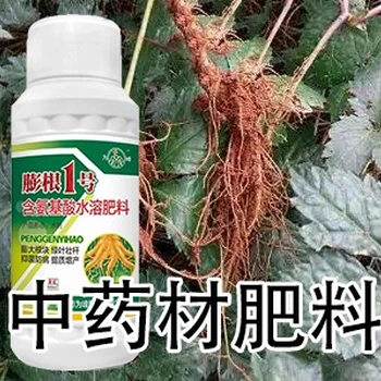 牛膝增產(chǎn)劑膨大增粗劑怎么用好,為峰肥業(yè)膨根一號(hào)廠家批發(fā)