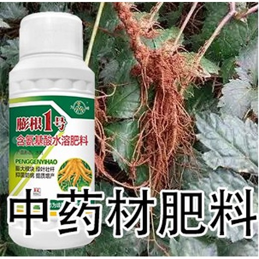 人參葉面肥膨大增粗劑效果如何,為峰肥業(yè)膨根一號廠(chǎng)家批發(fā)