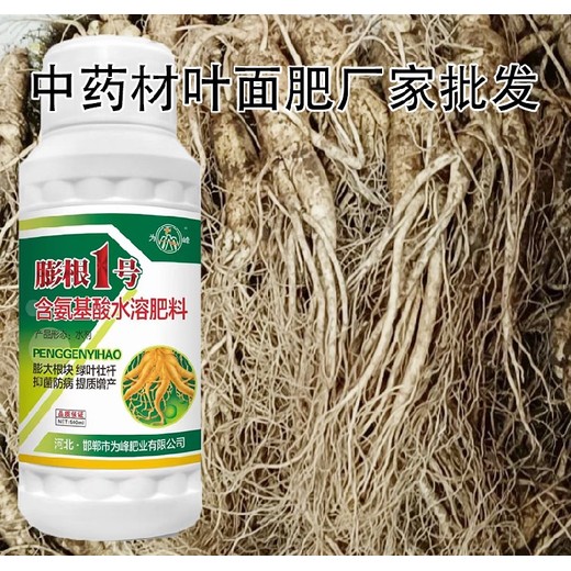黃芪增粗增甜膨大增粗劑多少錢,為峰肥業(yè)膨根一號廠家批發(fā)