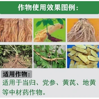 牛膝膨大增粗膨大增粗劑兌水比例,為峰肥業(yè)膨根一號(hào)廠家批發(fā)