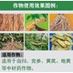 当归增产剂膨大增粗剂使用方法图