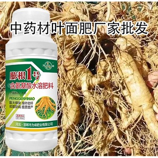 黃芪增產(chǎn)劑膨大增粗劑貼牌加工,為峰肥業(yè)膨根一號(hào)廠家批發(fā)