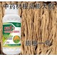 當歸增粗增甜膨大增粗劑一畝地用多少圖