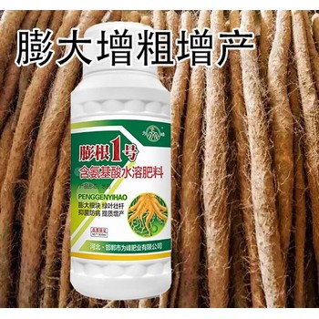 黃芪膨大增粗膨大增粗劑抗寒效果,為峰肥業(yè)膨根一號廠(chǎng)家批發(fā)