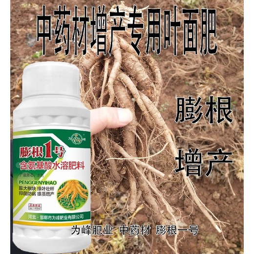 山藥拉直拉長(zhǎng)膨大增粗劑效果好,為峰肥業(yè)膨根一號(hào)廠家批發(fā)