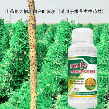 地黃膨大增粗膨大增粗劑招商電話,為峰肥業(yè)膨根一號(hào)廠家批發(fā)