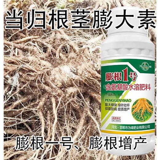地黃生根抗倒膨大增粗劑多少錢(qián),為峰肥業(yè)膨根一號廠(chǎng)家批發(fā)