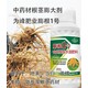 中藥材膨大增粗葉面肥（膨根一號）圖