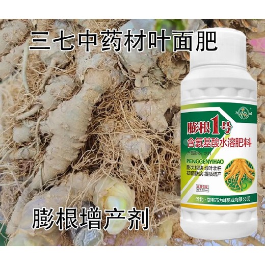 牛膝拉直拉長(zhǎng)膨大增粗劑抗寒效果,為峰肥業(yè)膨根一號(hào)廠家批發(fā)